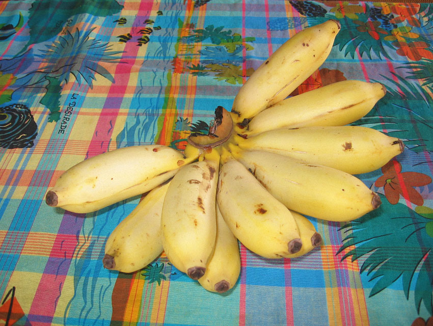 la banane de Guadeloupe